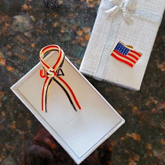 Jewelry - USA brooch AND Pin Set